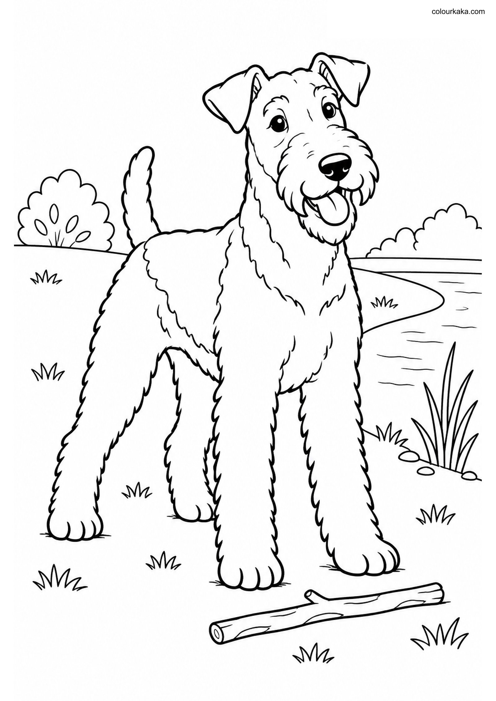 Airedale Terrier Colouring colouring page preview