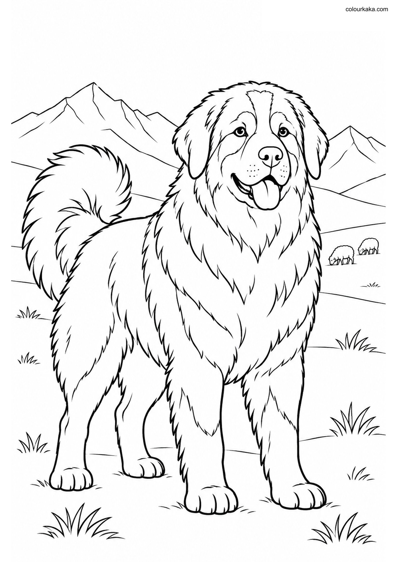 Bakharwal Mountain Coloring colouring page preview