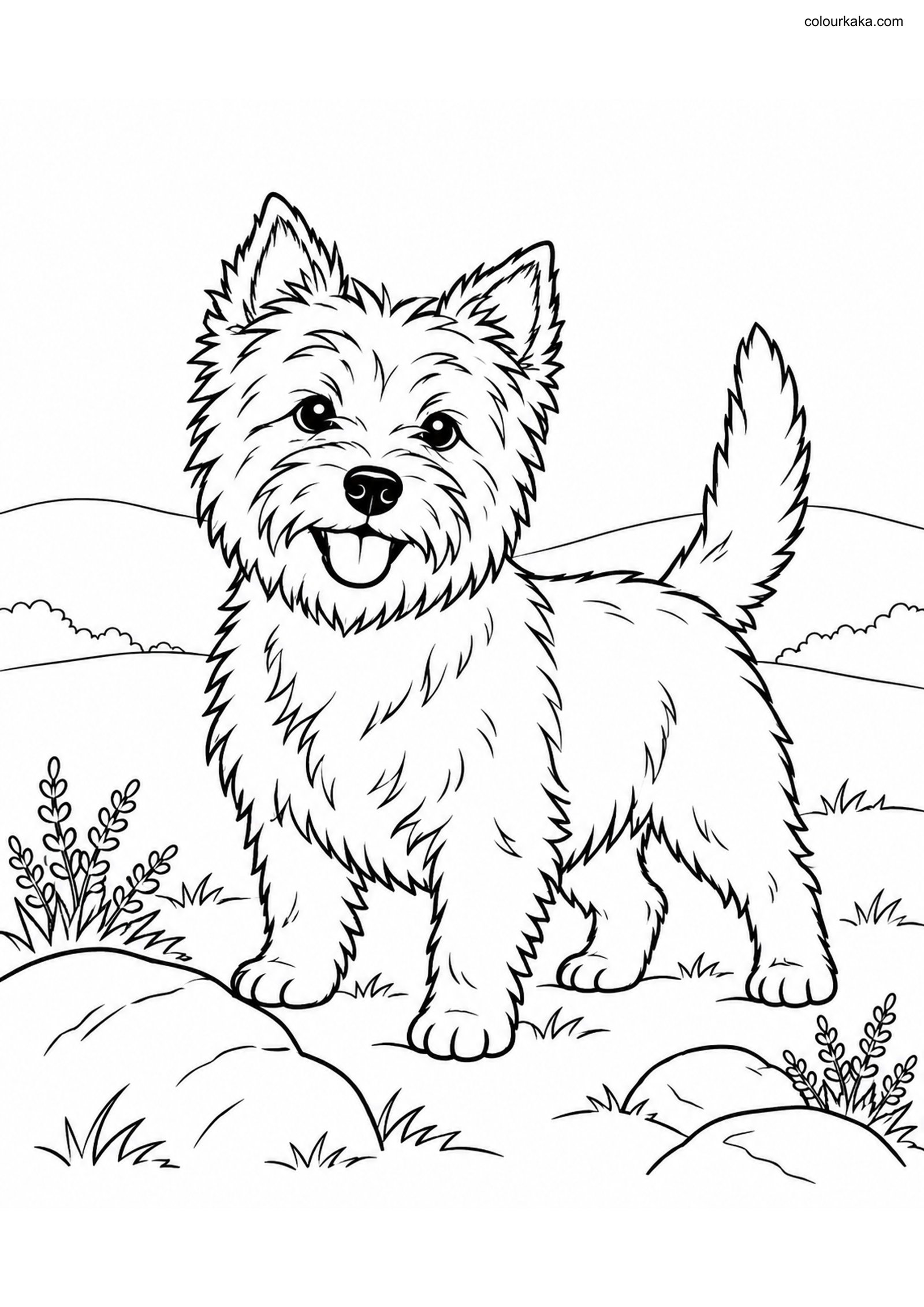 Cairn Terrier Colouring Page colouring page preview