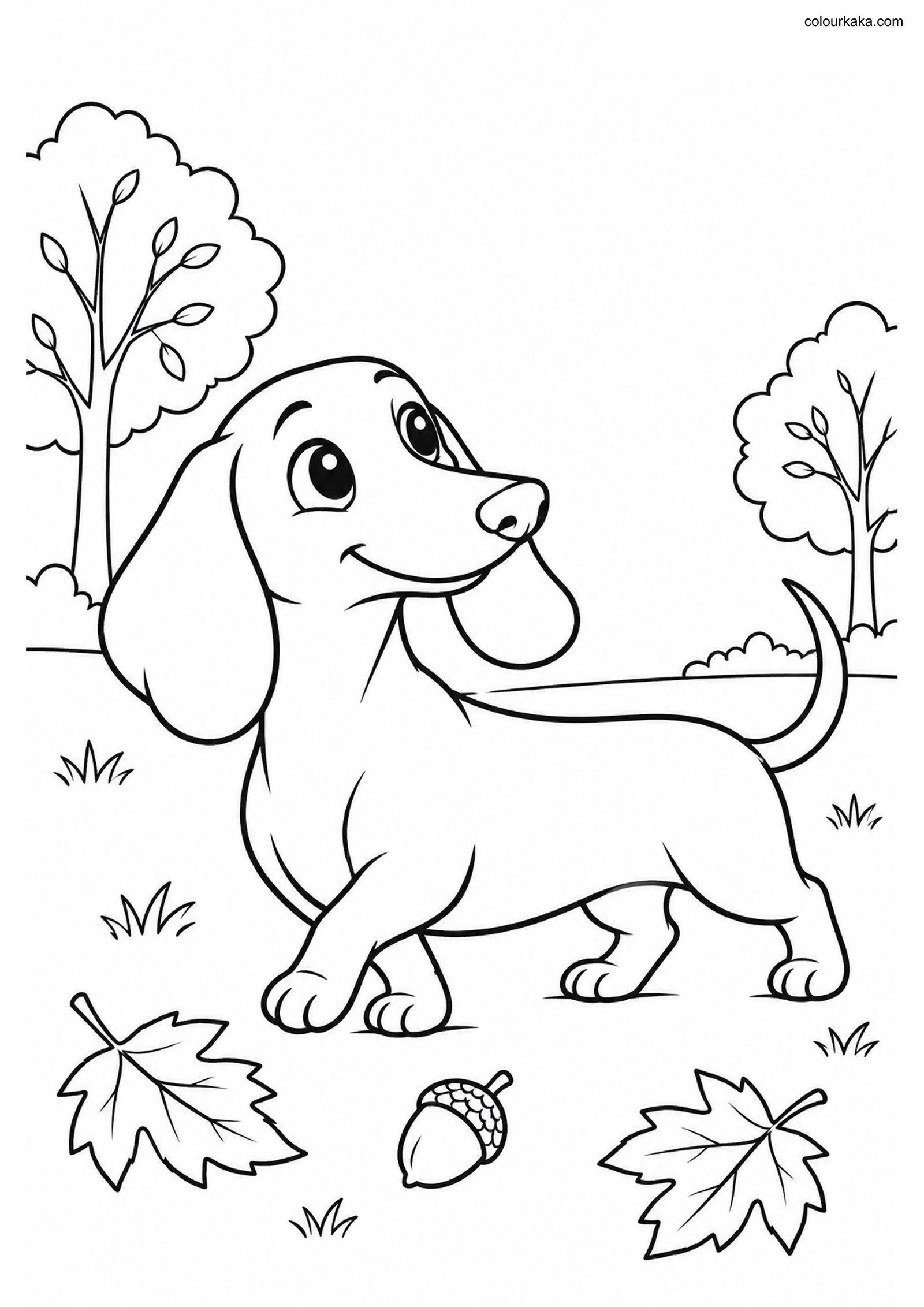 Dachshund Kids Colouring Page colouring page preview