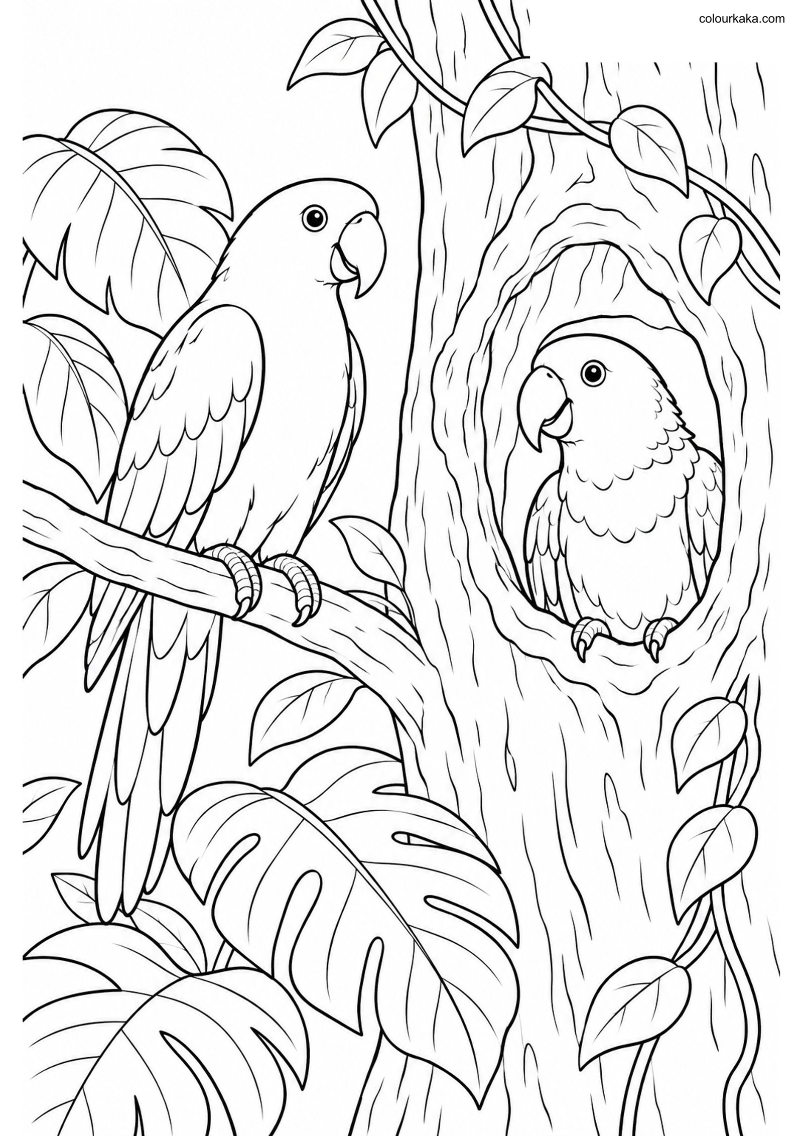 Eclectus Parrot Pair Colouring colouring page preview