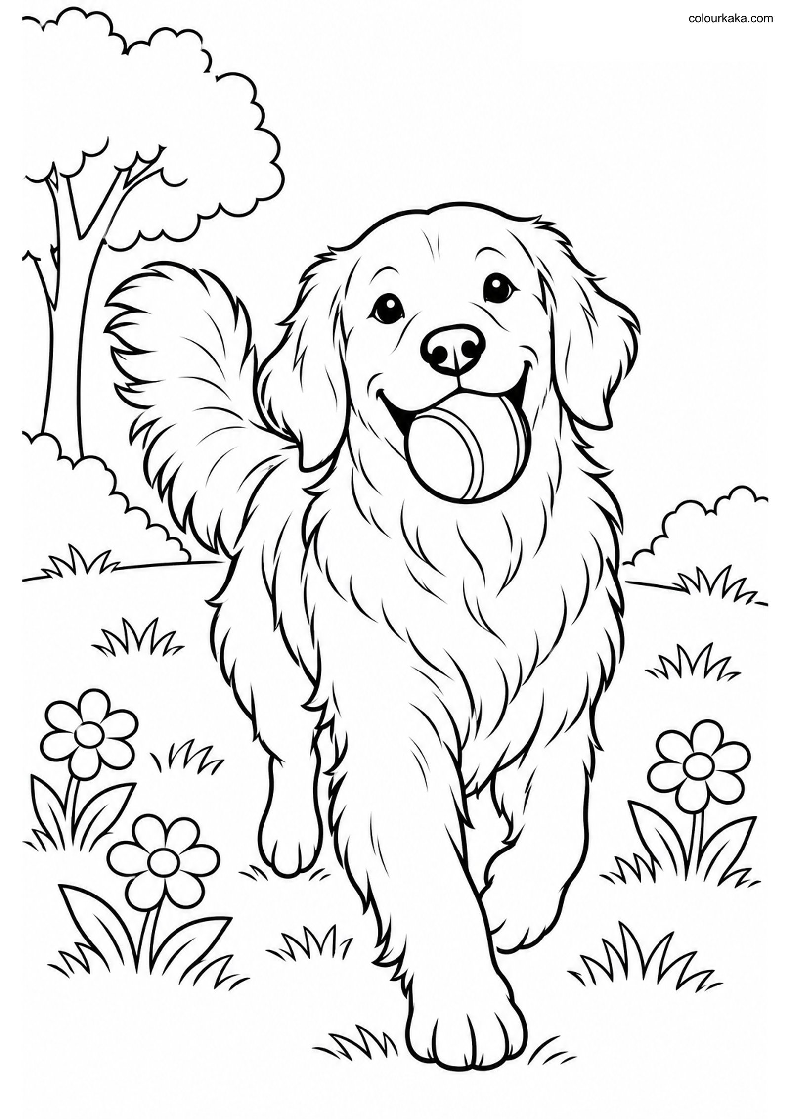 Golden Retriever Colouring Page colouring page preview
