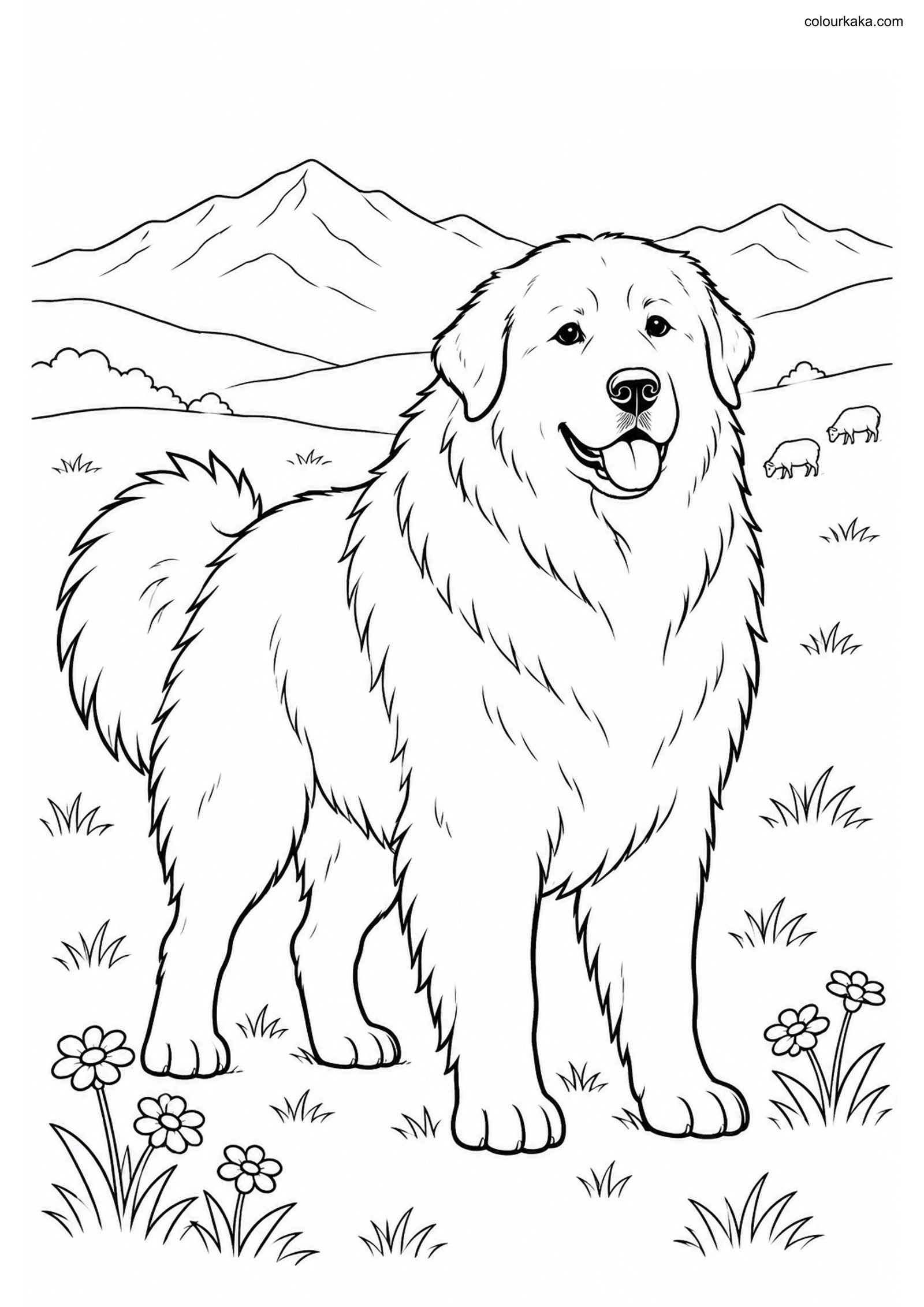 Great Pyrenees Colouring Page colouring page preview
