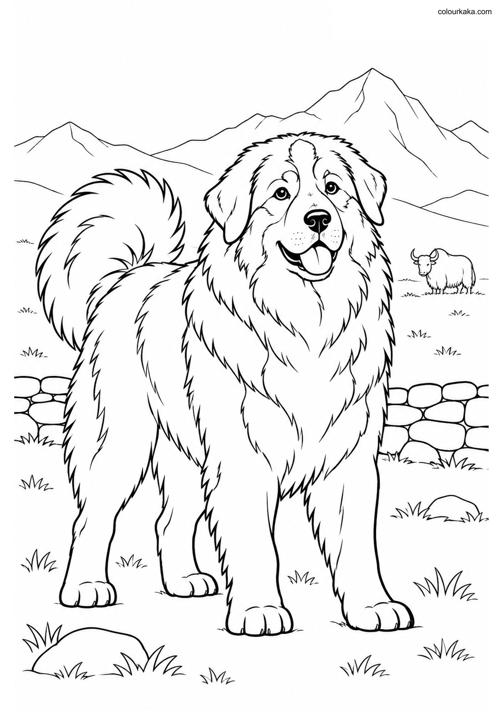 Himalayan Sheepdog Coloring colouring page preview