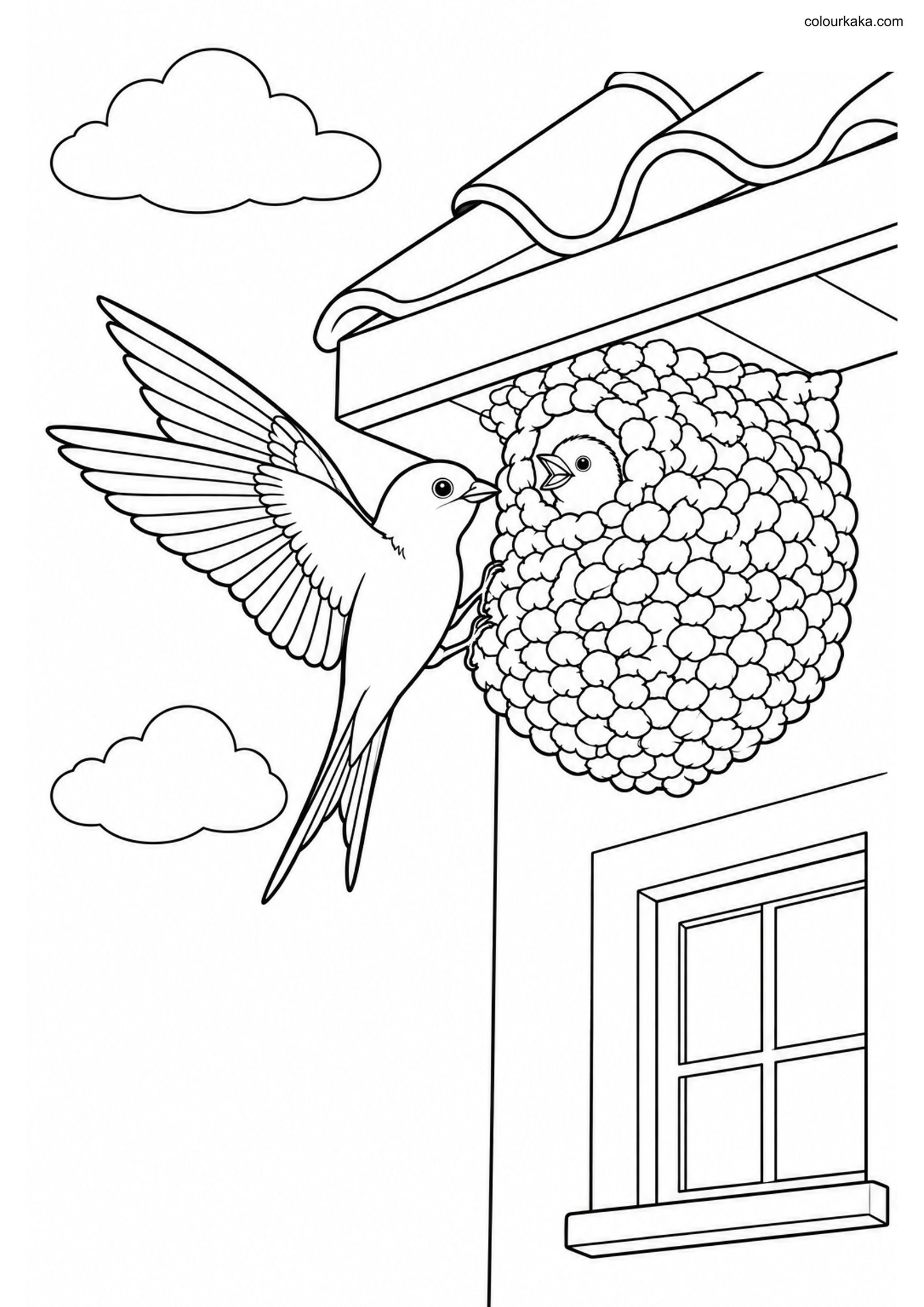 House Martin Mud Nest Page colouring page preview