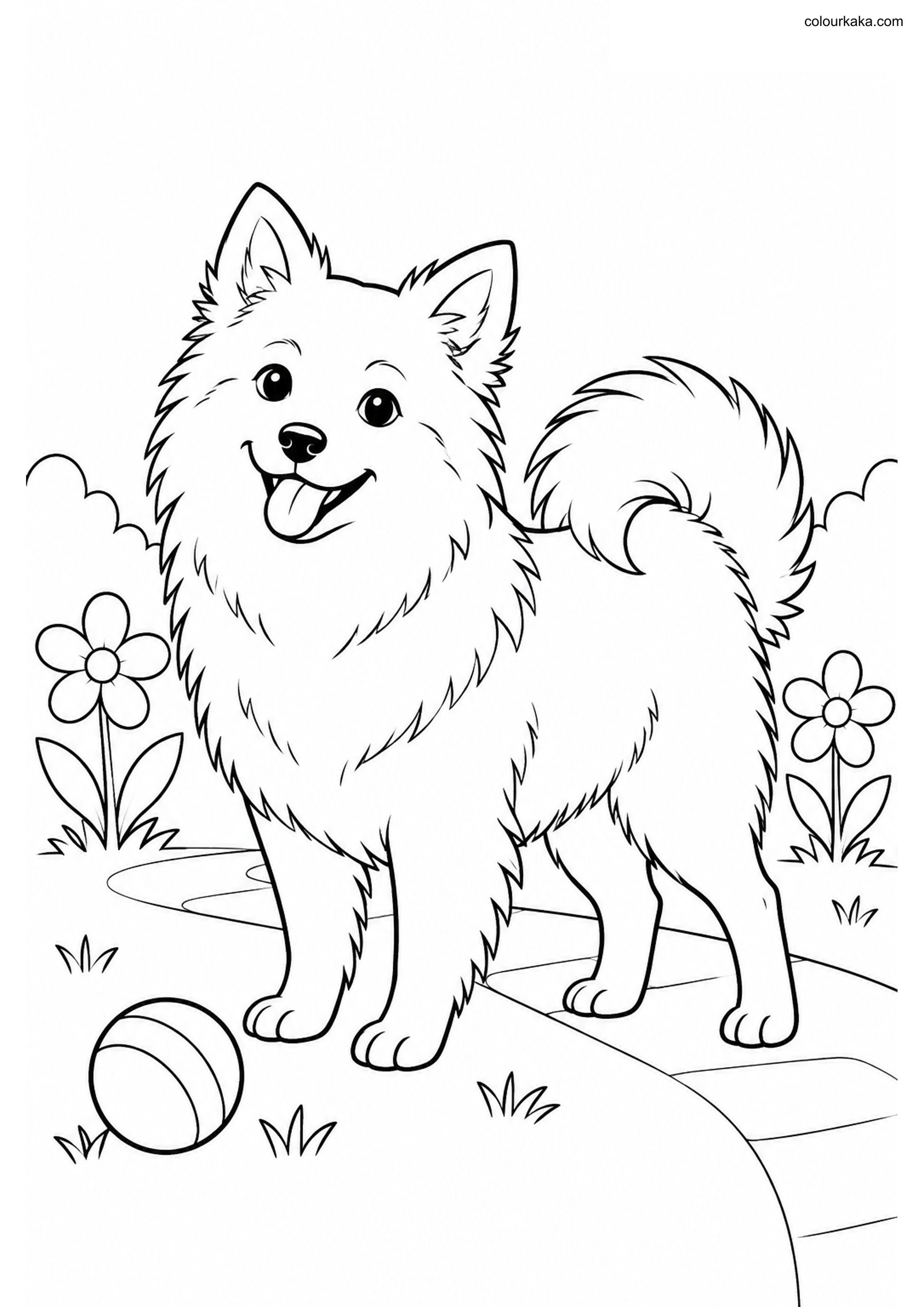 Indian Spitz Garden Coloring colouring page preview