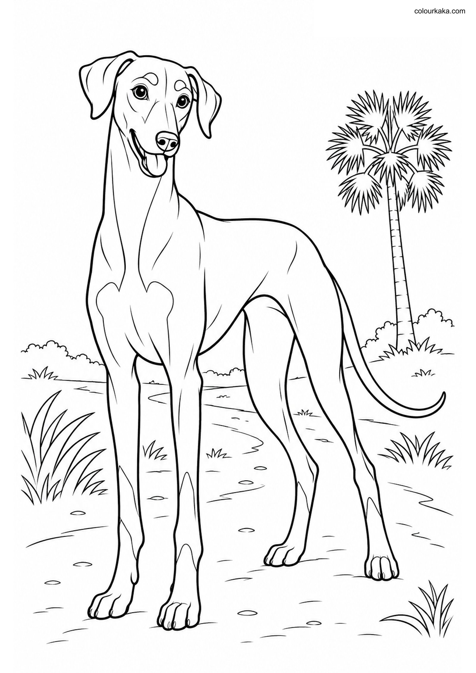 Kanni Tamil Trail Coloring colouring page preview