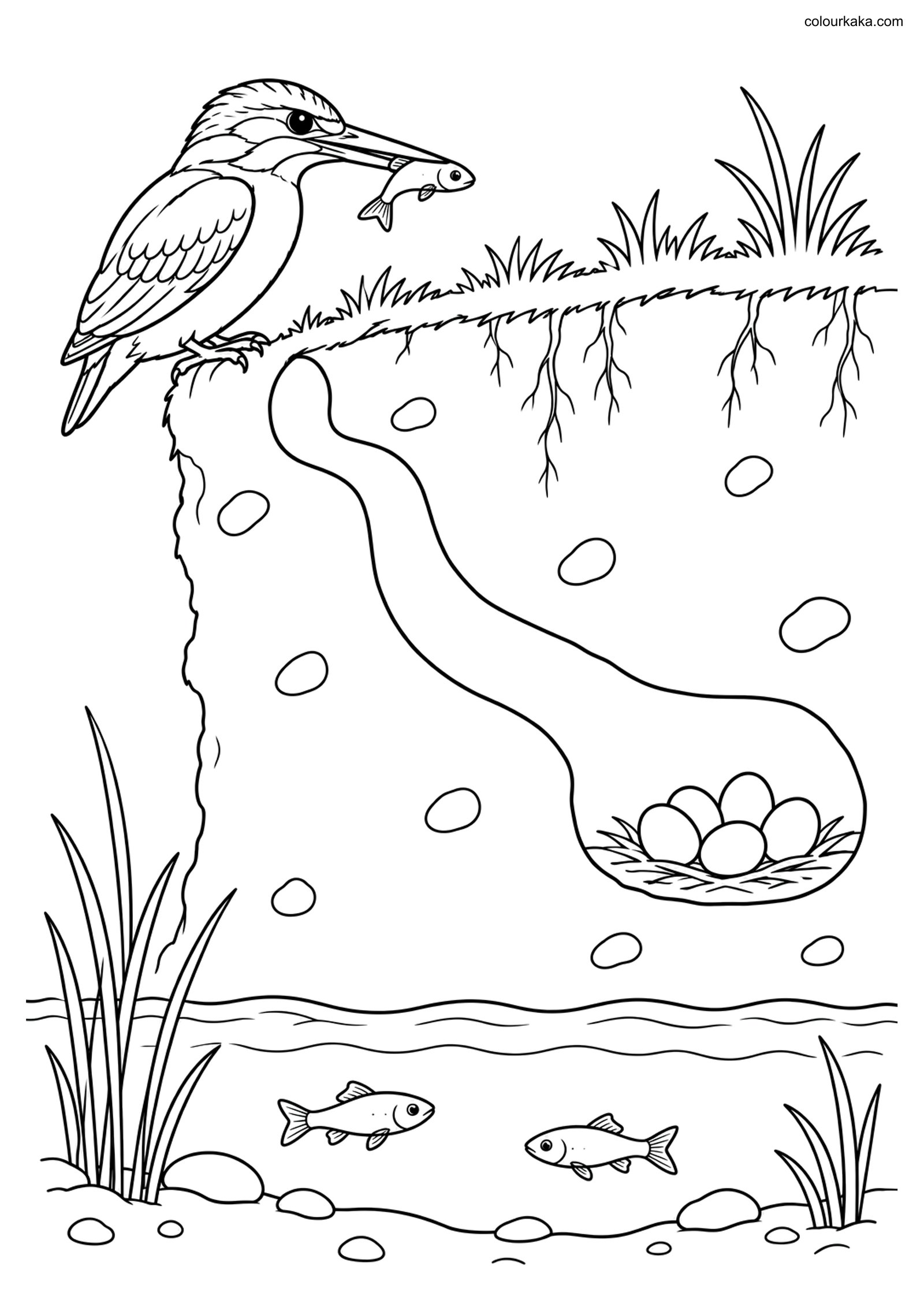 Kingfisher Burrow Nest Page colouring page preview