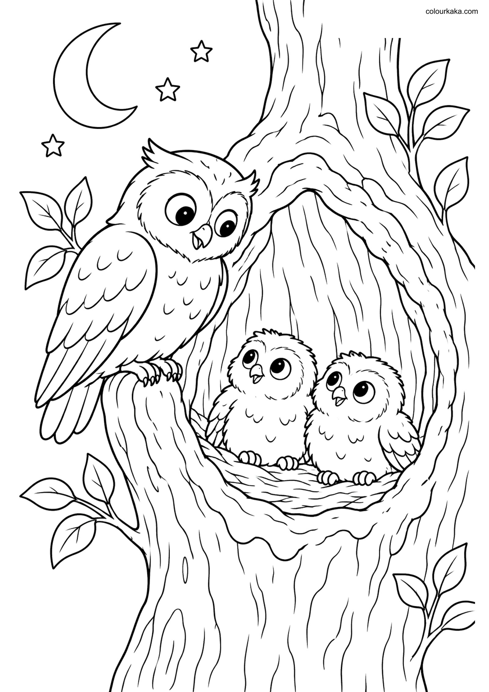 Owl Tree Hollow Colouring Page colouring page preview