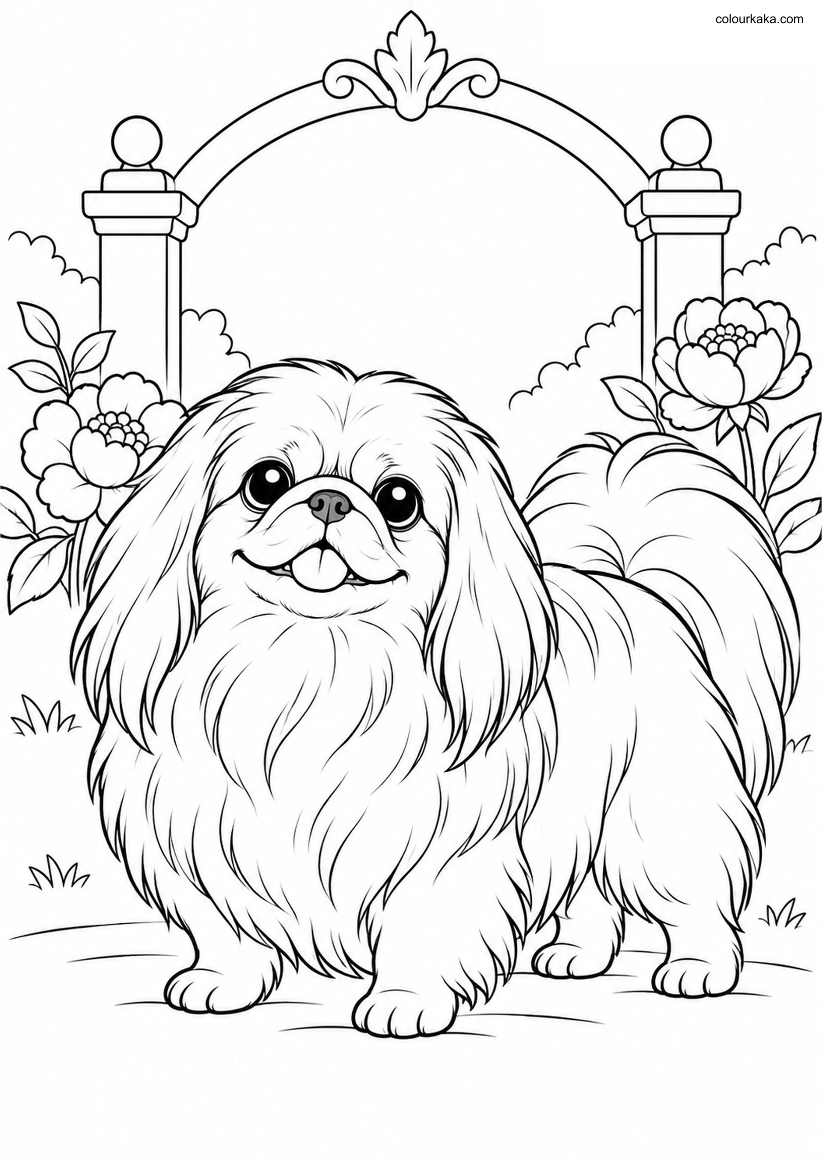 Pekingese Puppy Colouring colouring page preview