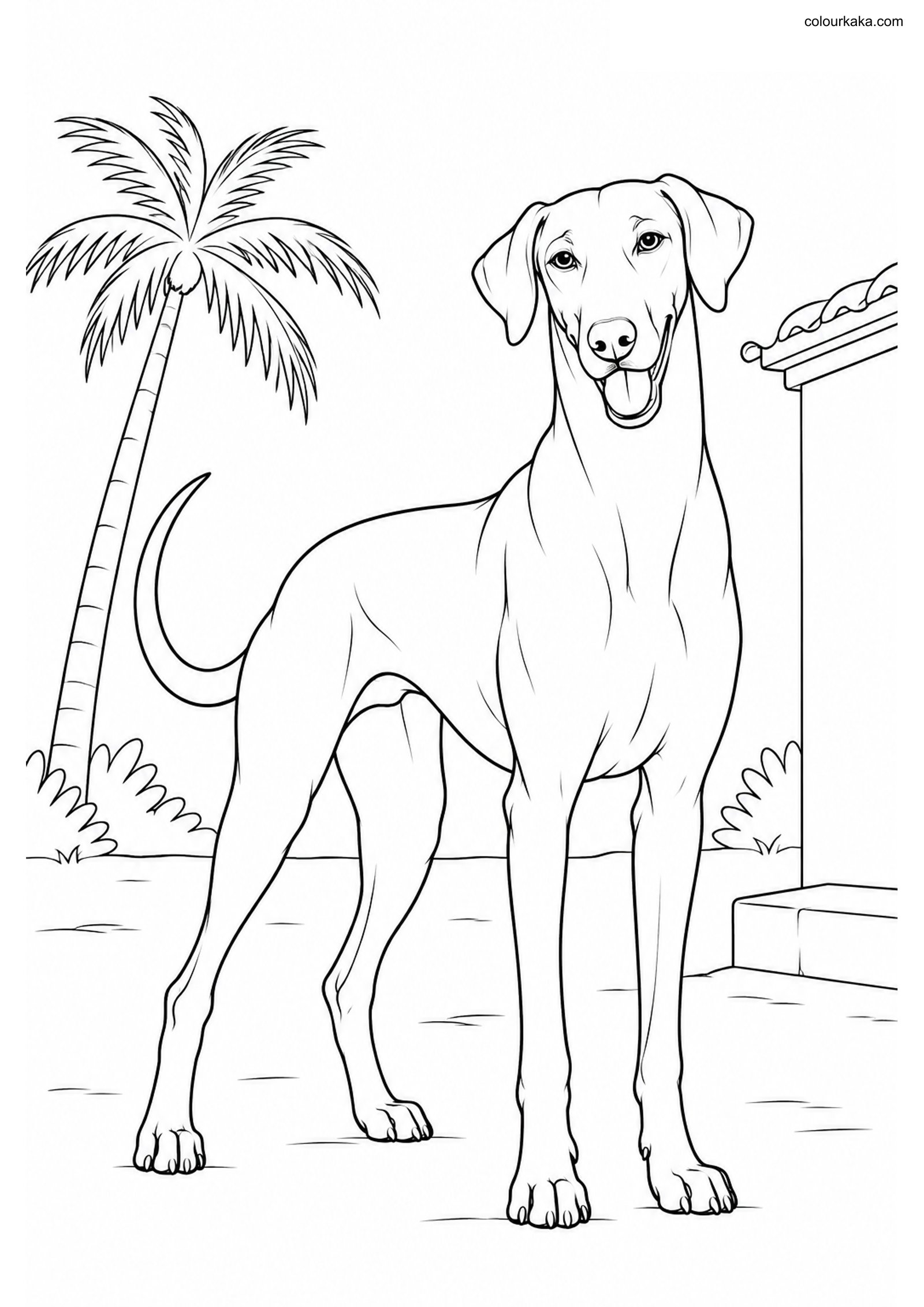 Rajapalayam Coloring Page colouring page preview