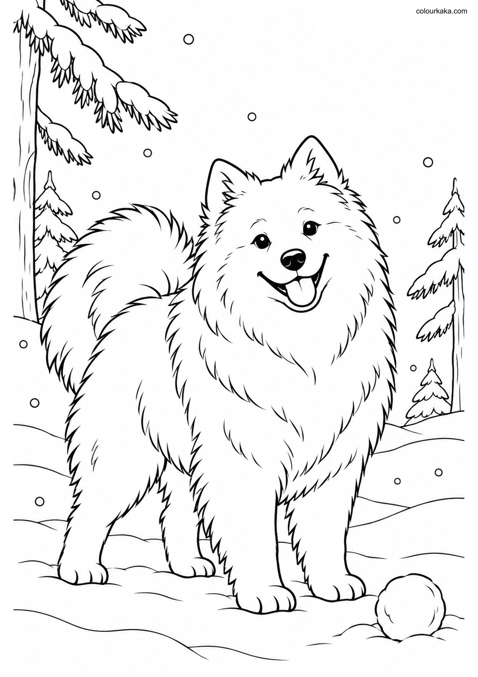 Samoyed Snow Colouring Page colouring page preview