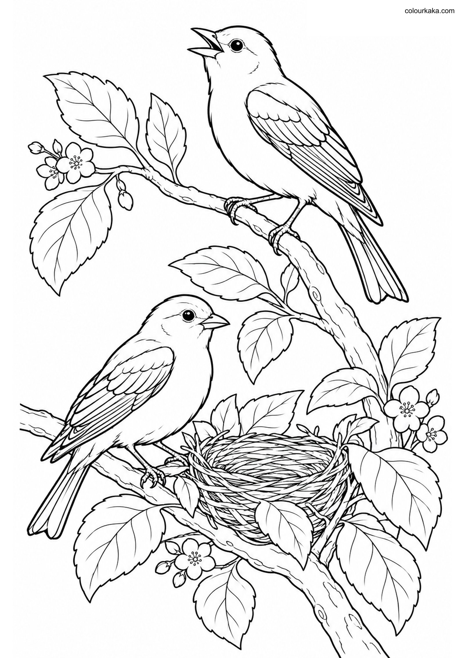Scarlet Tanager Pair Page colouring page preview