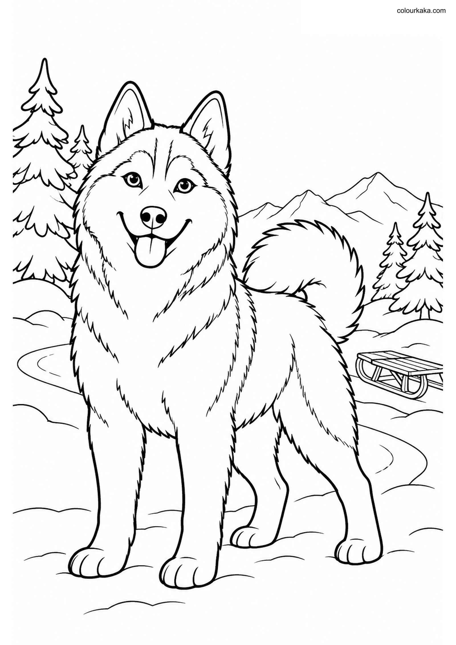 Siberian Husky Colouring Page colouring page preview
