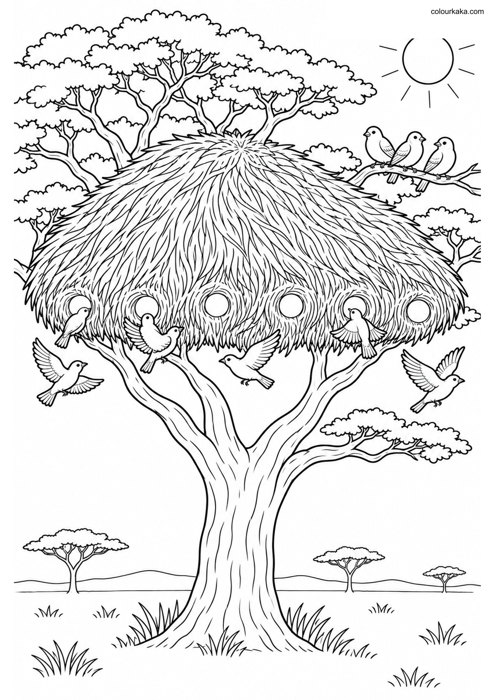 Sociable Weaver Nest Colouring colouring page preview