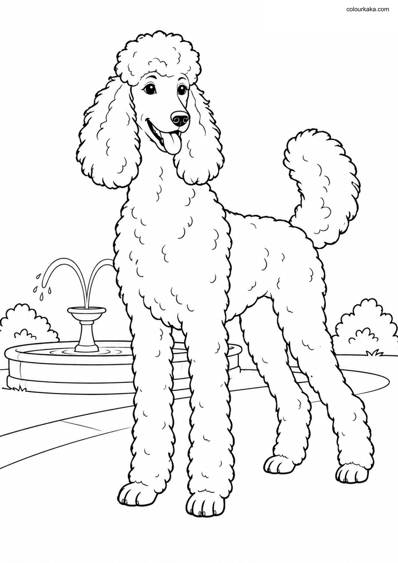 Standard Poodle Colouring colouring page preview