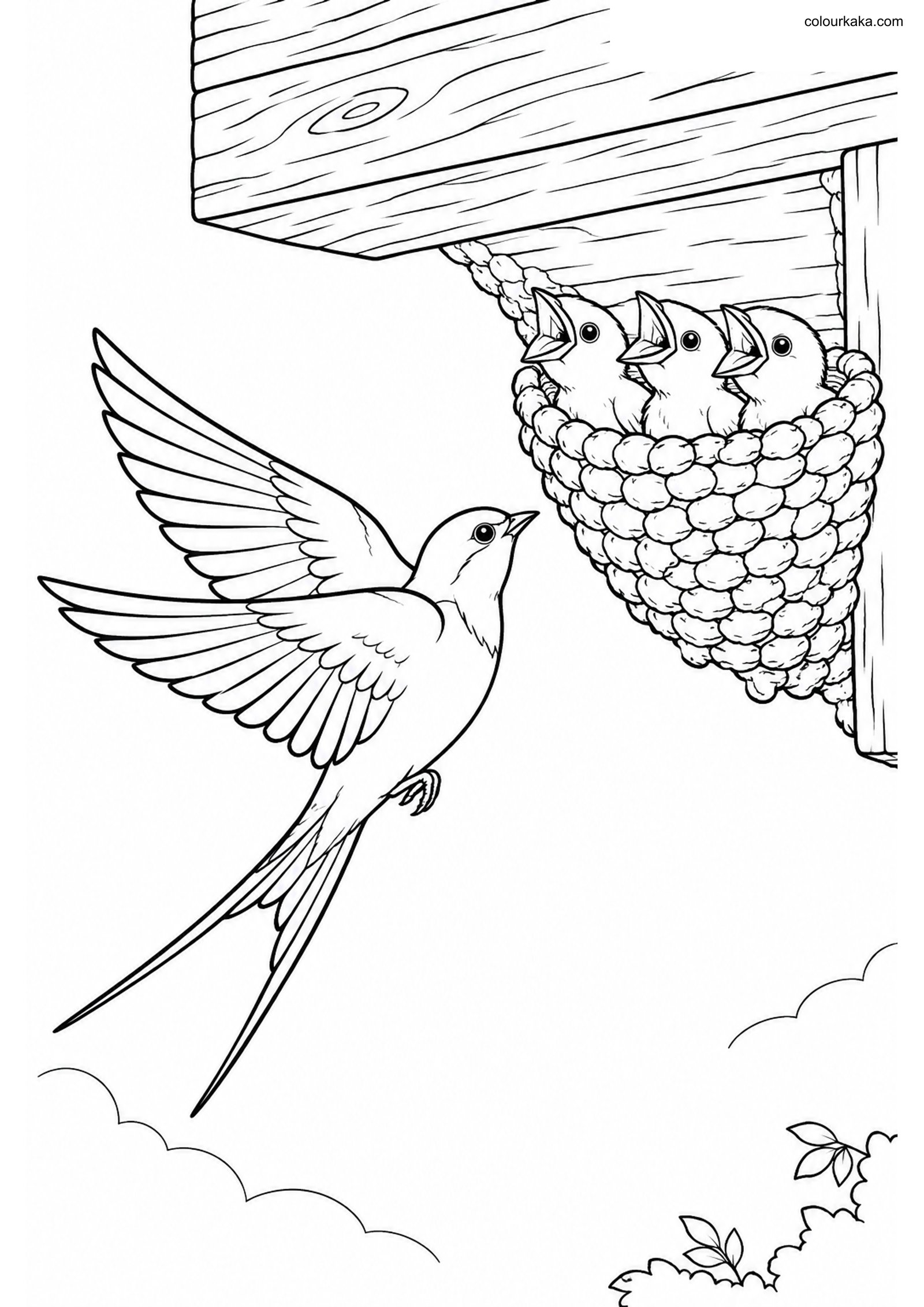 Swallow Mud Cup Colouring Page colouring page preview