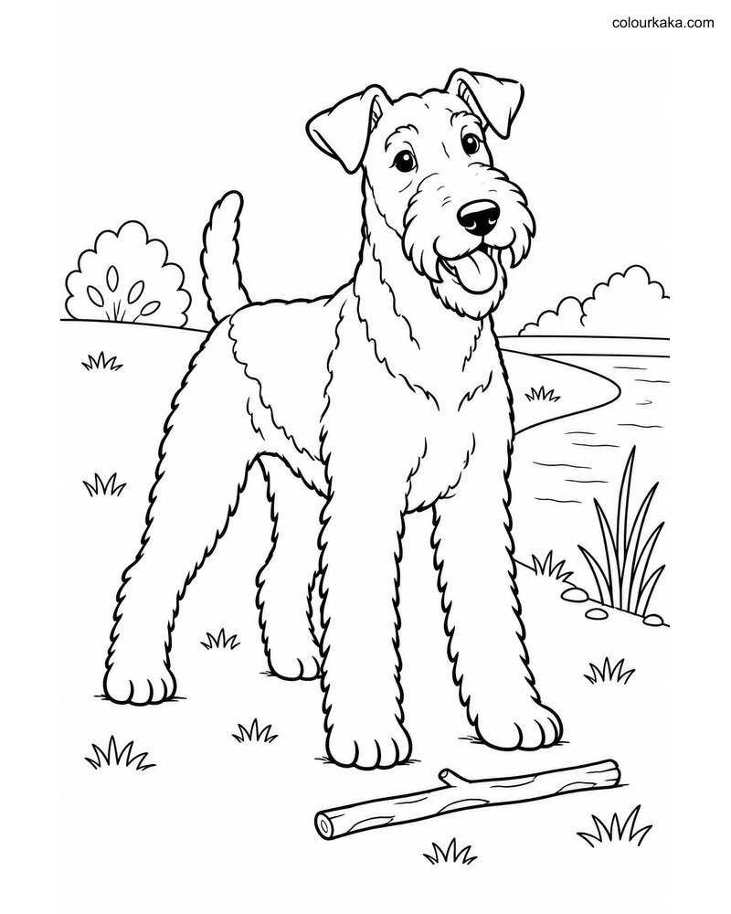 Airedale Terrier Colouring thumbnail