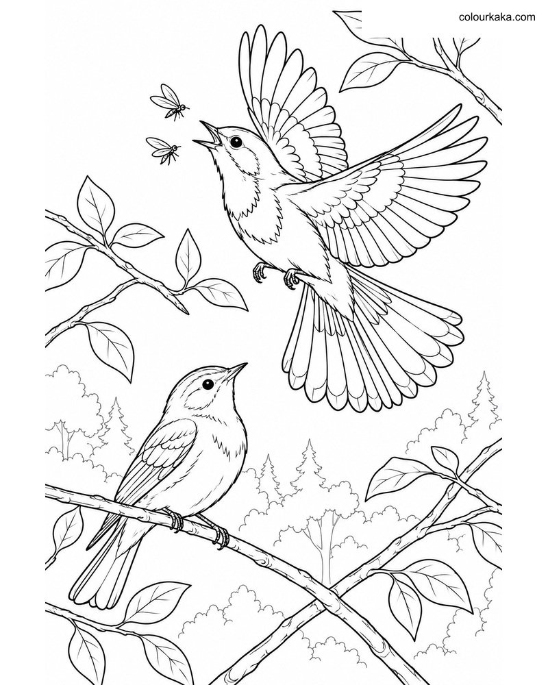 American Redstart Pair Page thumbnail