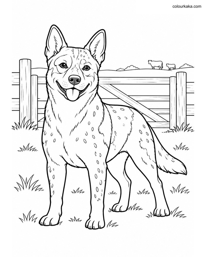 Australian Cattle Dog Page thumbnail