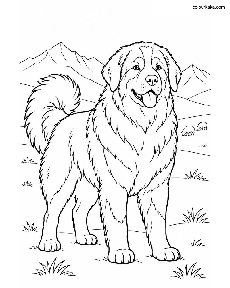 Bakharwal Mountain Coloring thumbnail