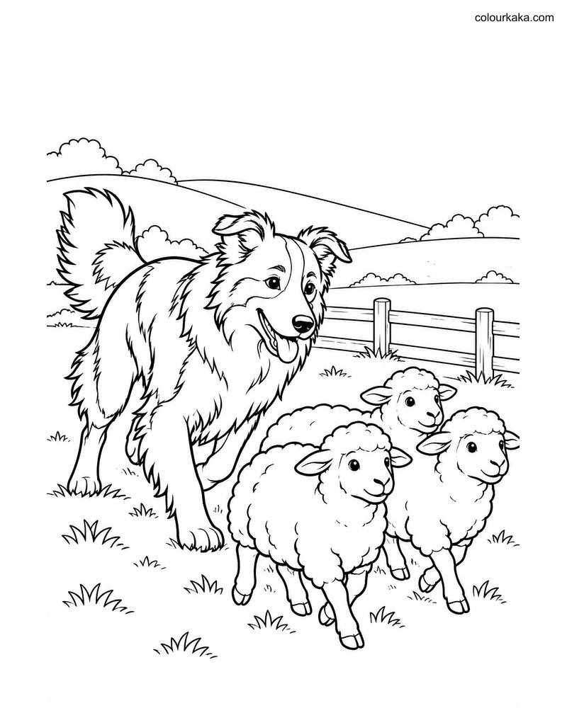 Border Collie Farm Colouring thumbnail