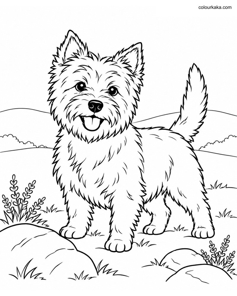Cairn Terrier Colouring Page thumbnail