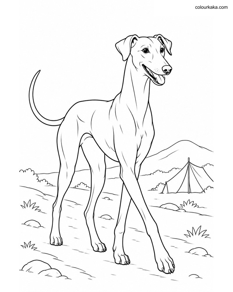 Caravan Hound Trail Coloring thumbnail