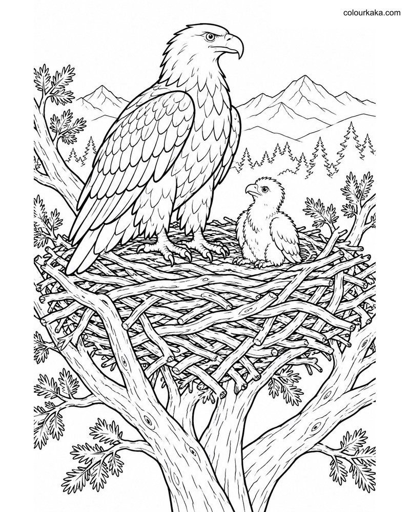 Eagle Platform Nest Colouring thumbnail