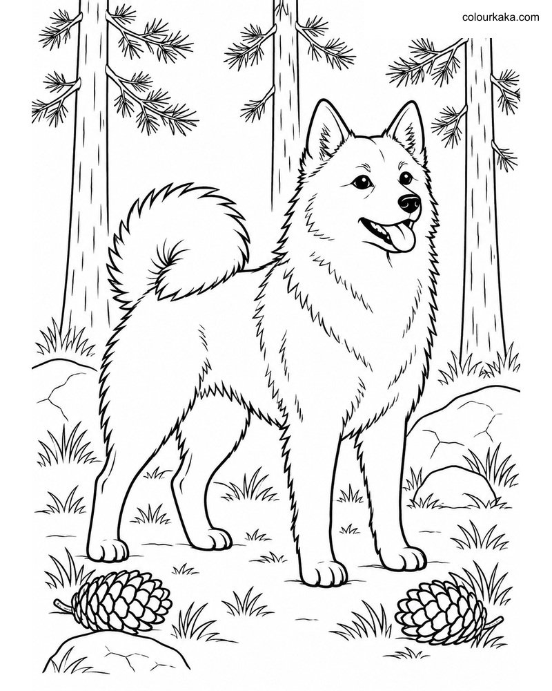 Finnish Spitz Colouring Sheet thumbnail