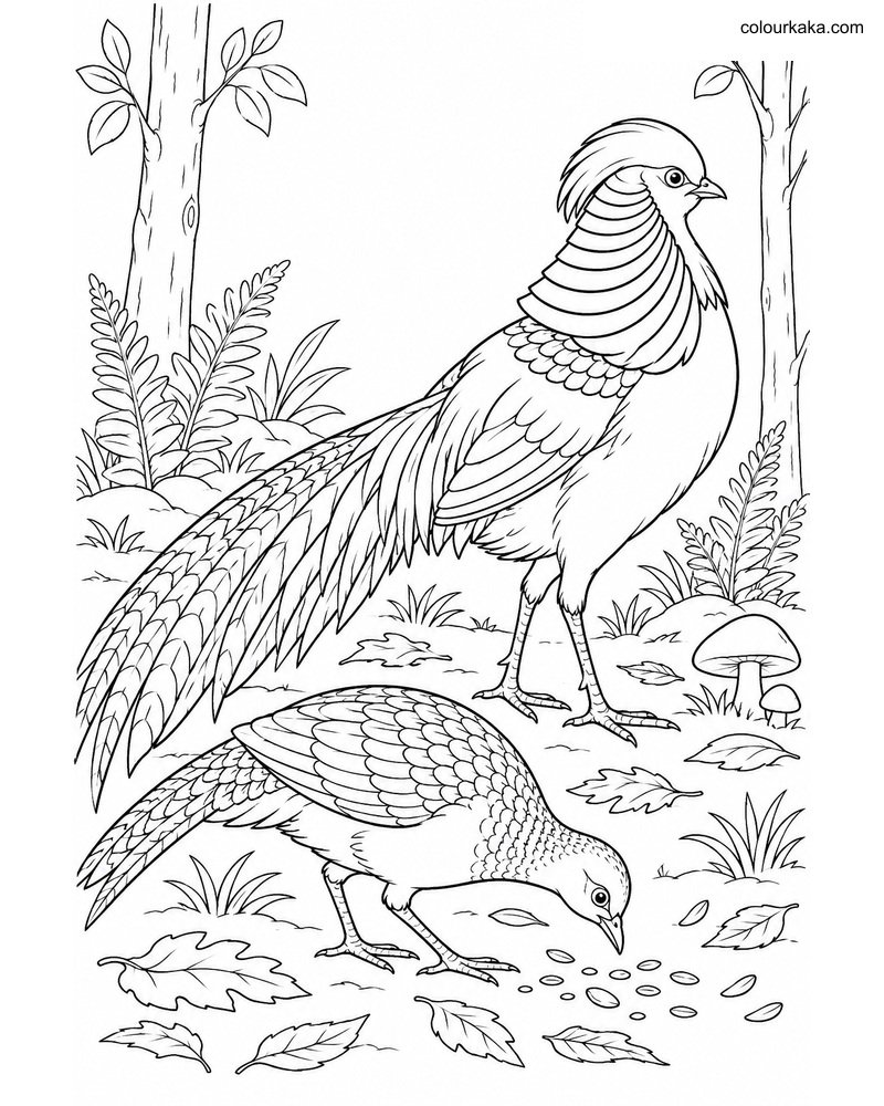 Golden Pheasant Pair Page thumbnail