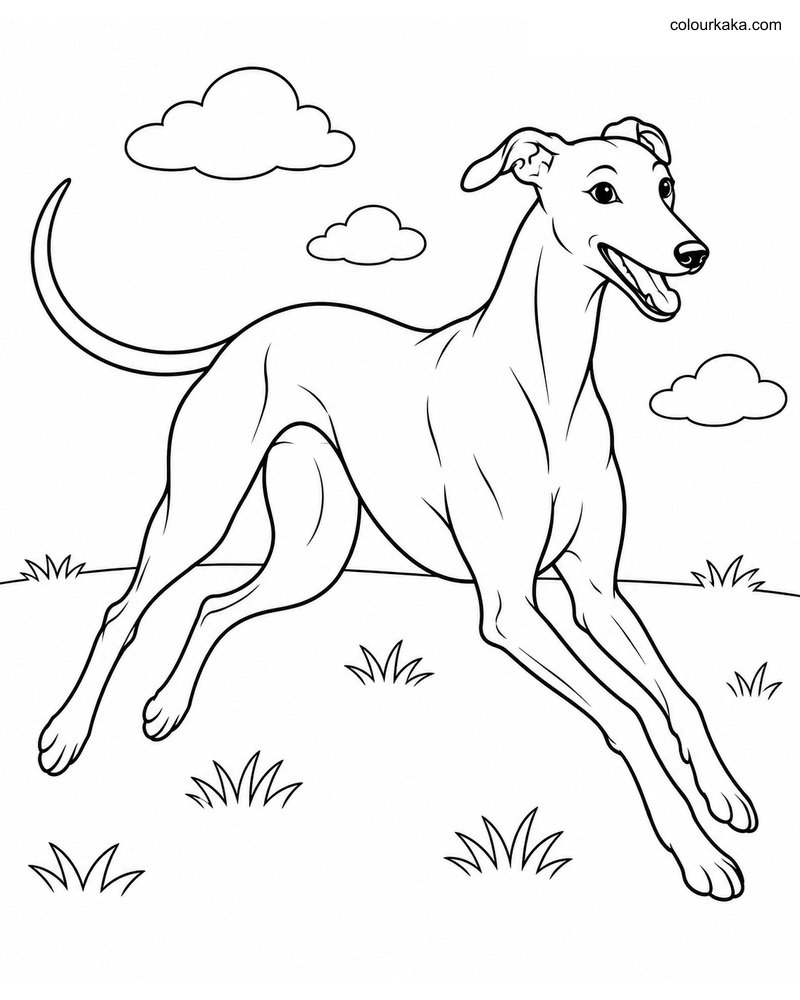 Greyhound Dog Colouring Page thumbnail