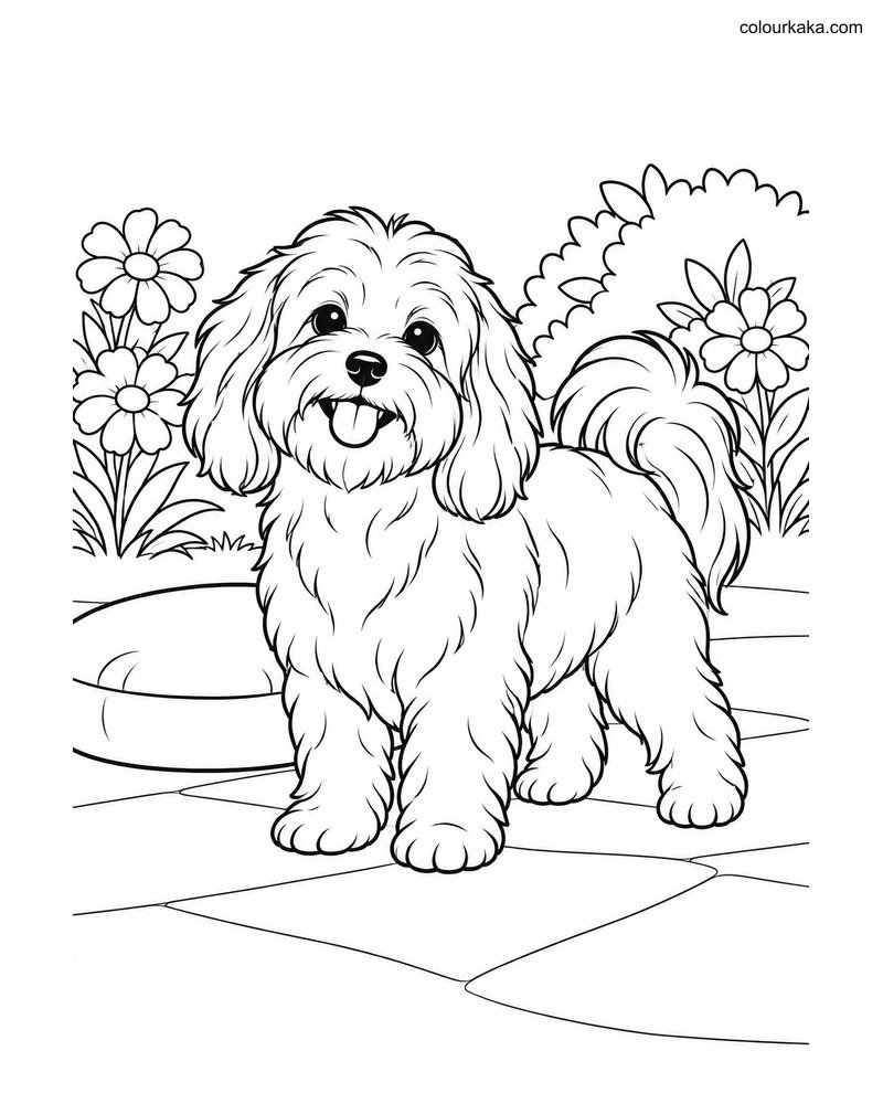 Havanese Puppy Colouring Page thumbnail