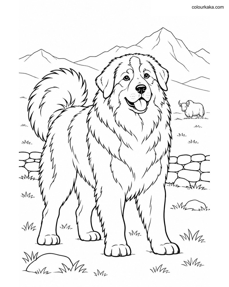 Himalayan Sheepdog Coloring thumbnail