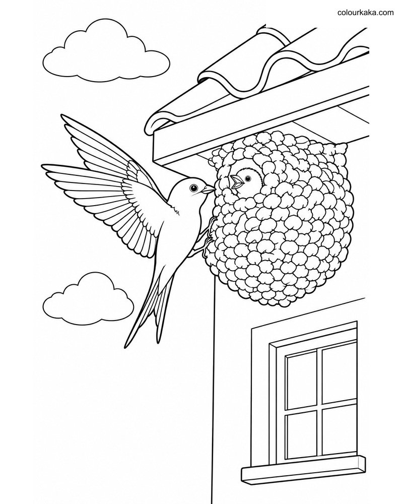 House Martin Mud Nest Page thumbnail
