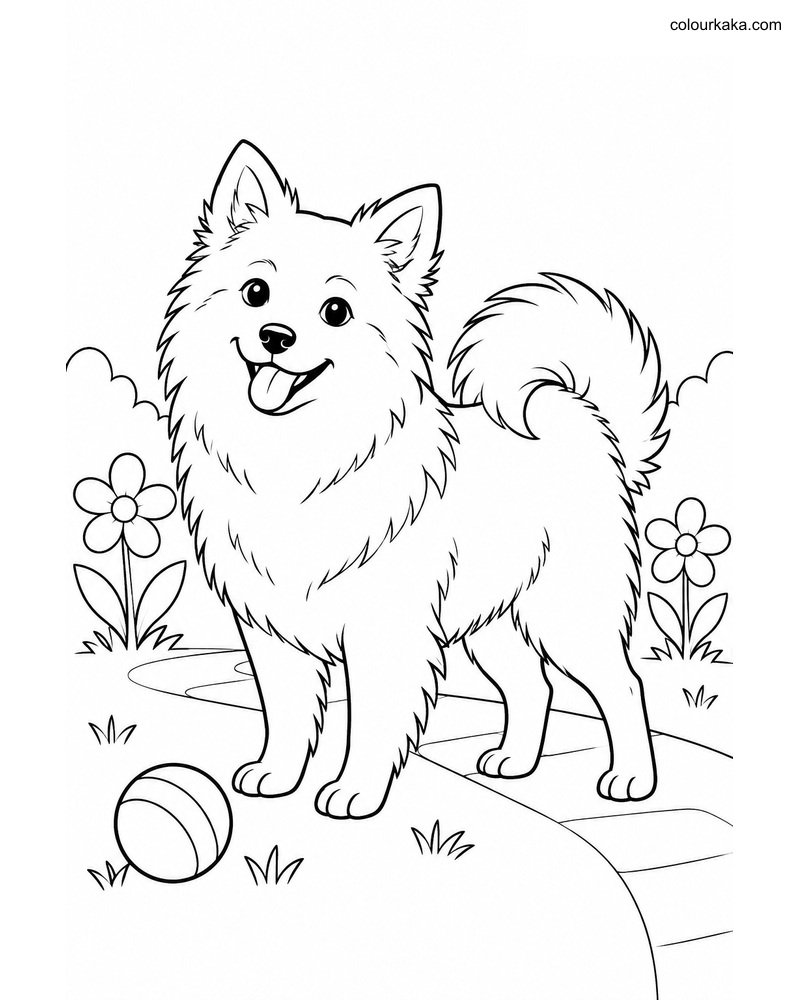 Indian Spitz Garden Coloring thumbnail