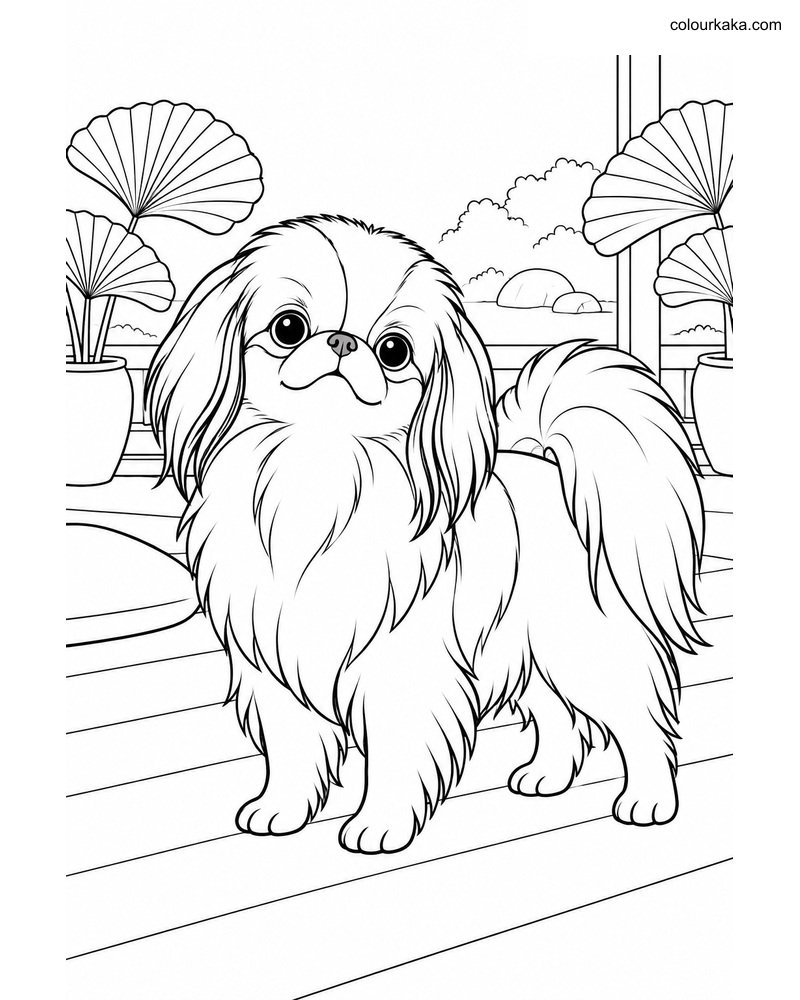 Japanese Chin Colouring Page thumbnail