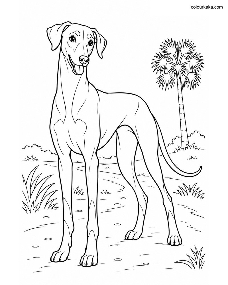 Kanni Tamil Trail Coloring thumbnail