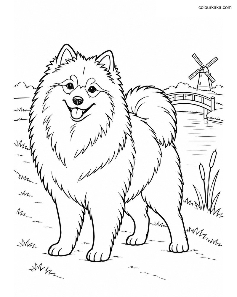Keeshond Dog Colouring Page thumbnail