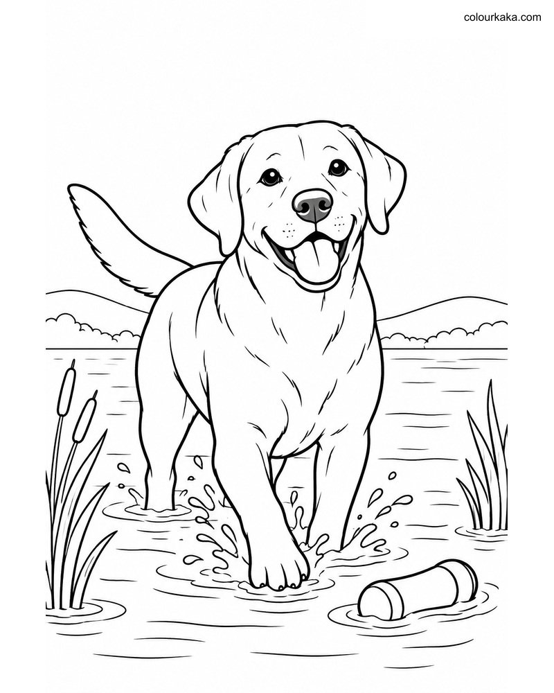 Labrador Retriever Kids Page thumbnail