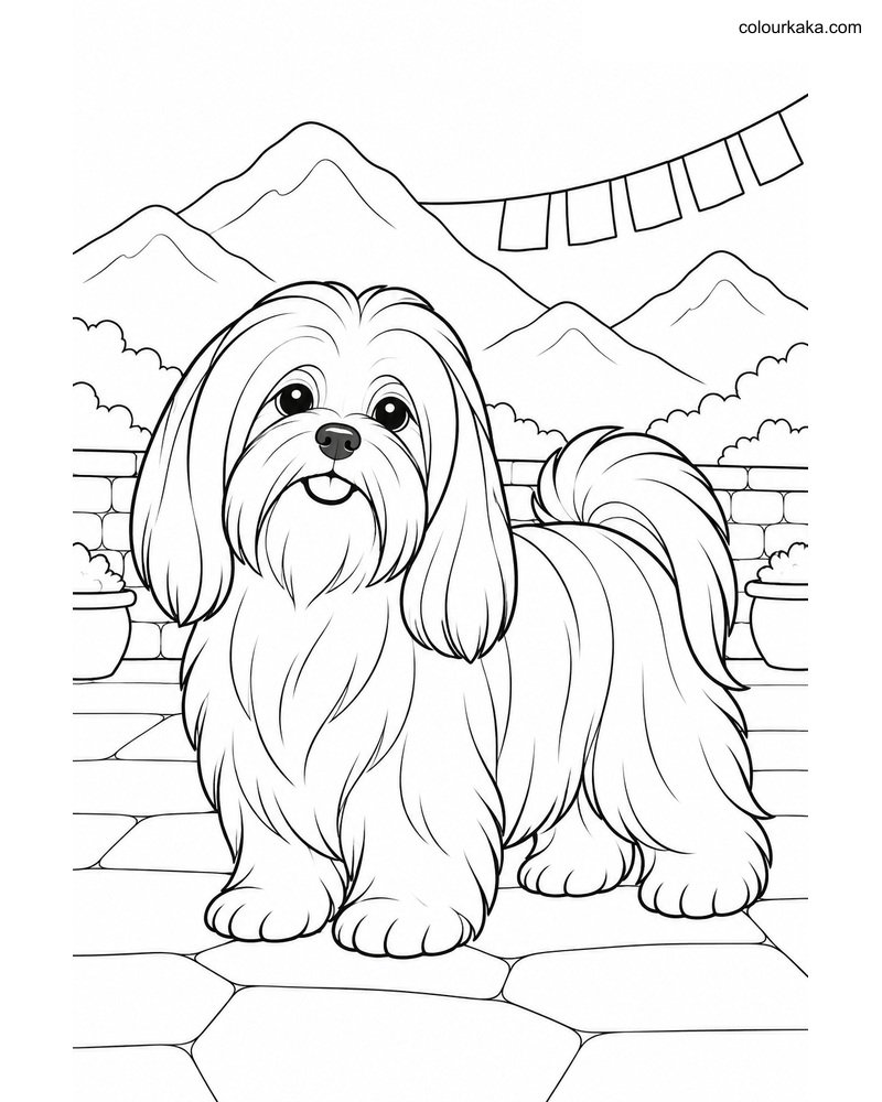 Lhasa Apso Colouring Sheet thumbnail