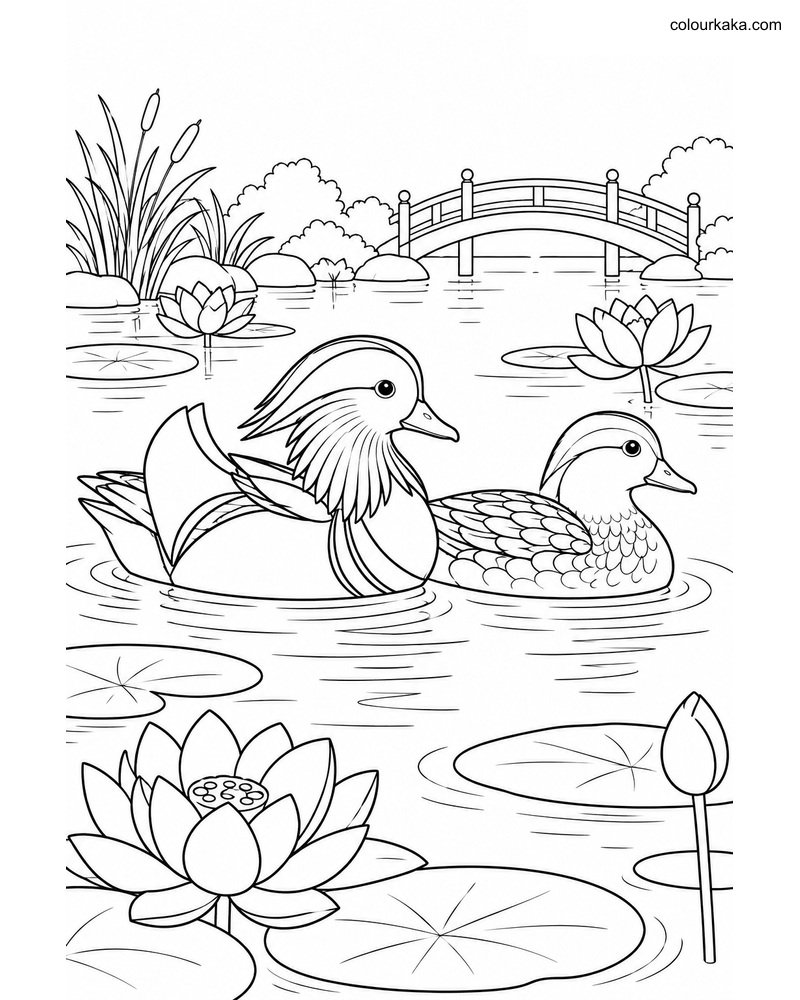 Mandarin Duck Pair Colouring thumbnail