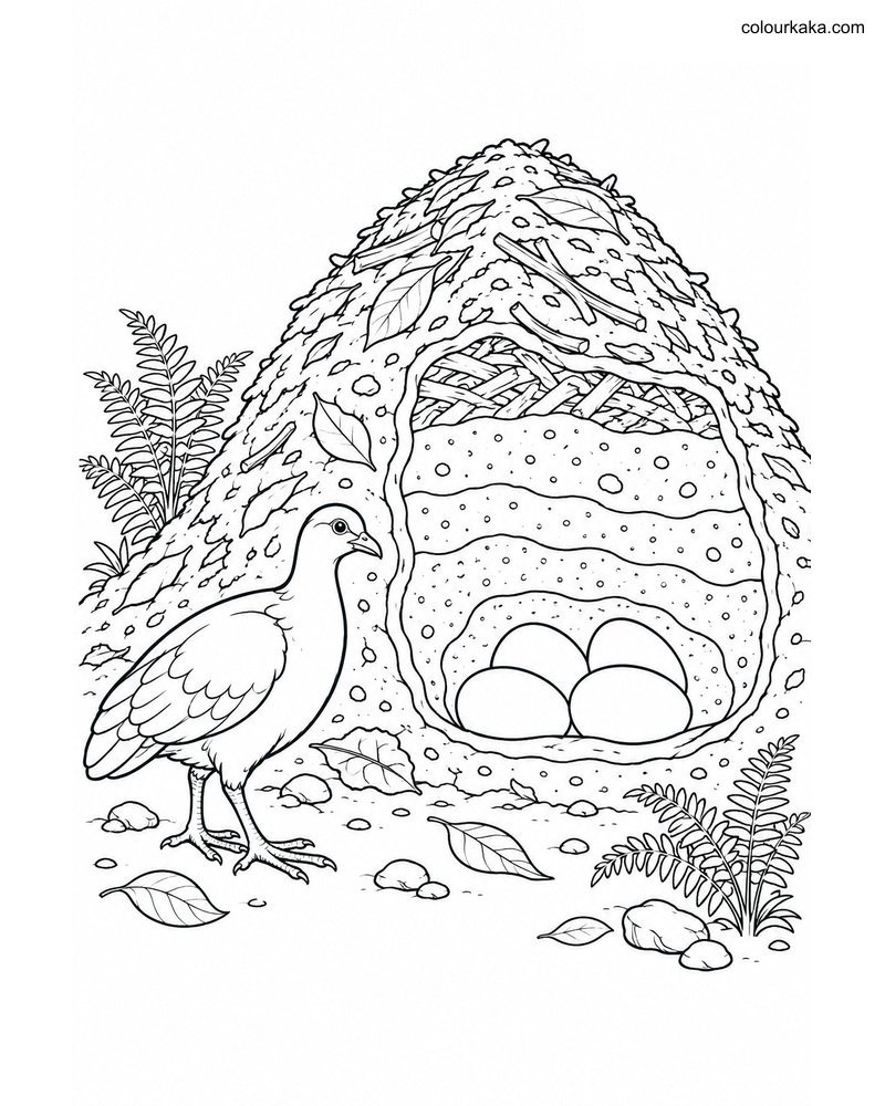 Megapode Mound Nest Colouring thumbnail