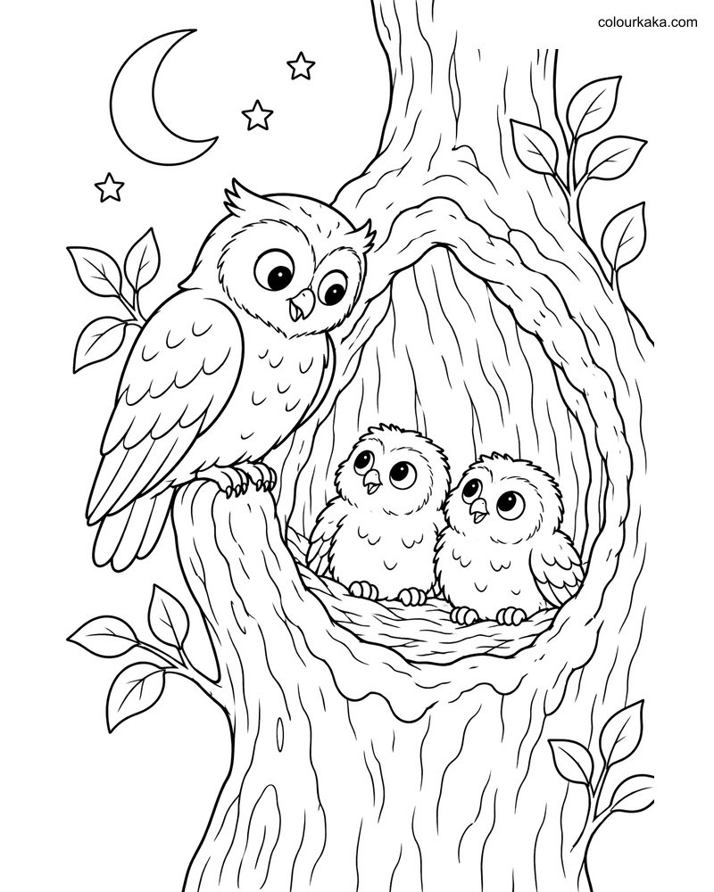 Owl Tree Hollow Colouring Page thumbnail
