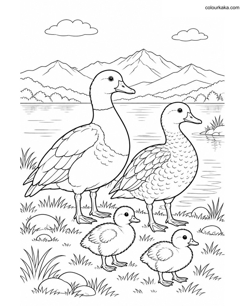 Paradise Shelduck Family Page thumbnail