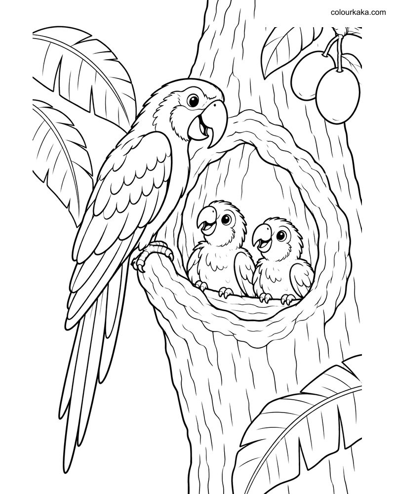 Parrot Hollow Nest Colouring Page thumbnail