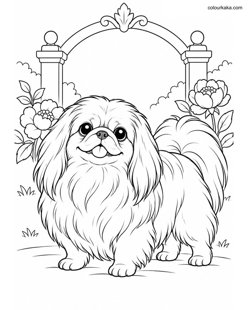 Pekingese Puppy Colouring thumbnail