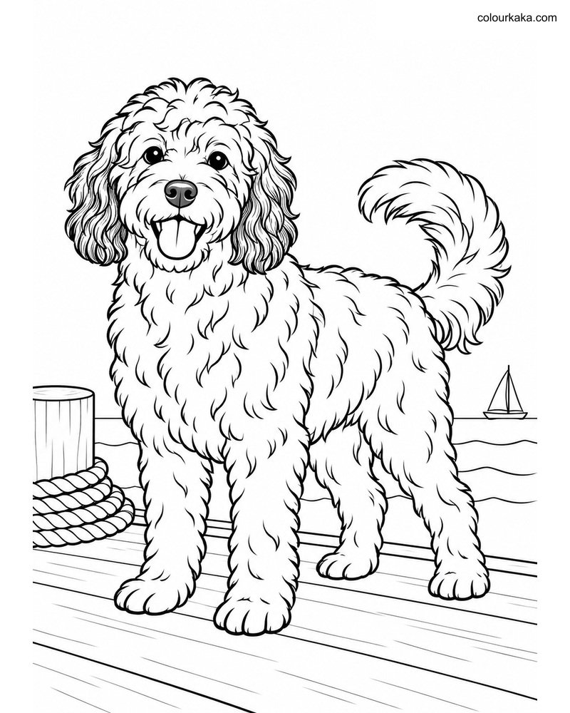 Portuguese Water Dog Page thumbnail