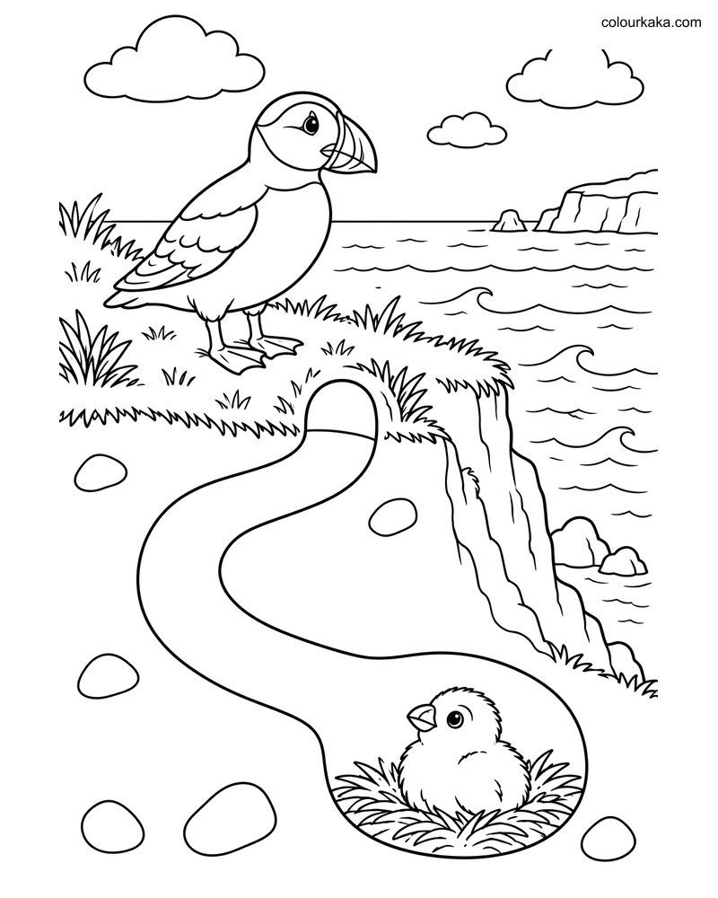 Puffin Burrow Nest Colouring thumbnail
