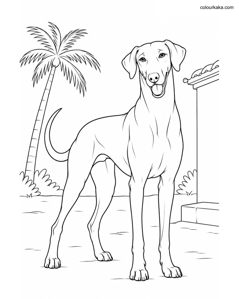 Rajapalayam Coloring Page thumbnail
